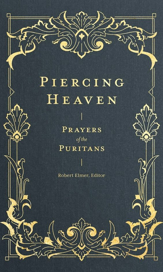 Cover image for Piercing Heaven, isbn: 9781683593348