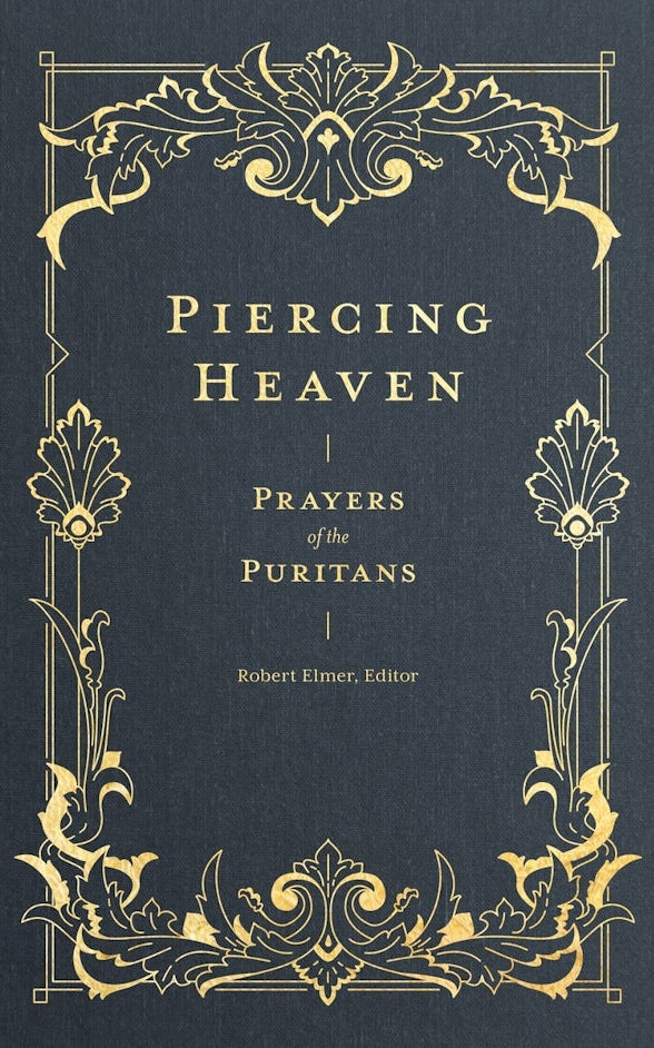 Cover image for Piercing Heaven, isbn: 9781683593348