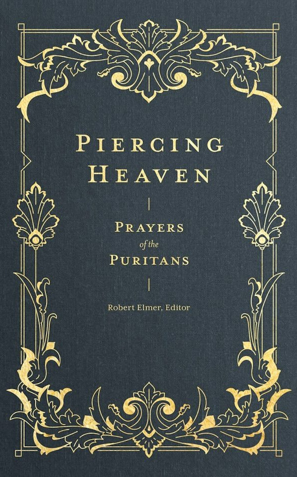 Cover image for Piercing Heaven, isbn: 9781683593348