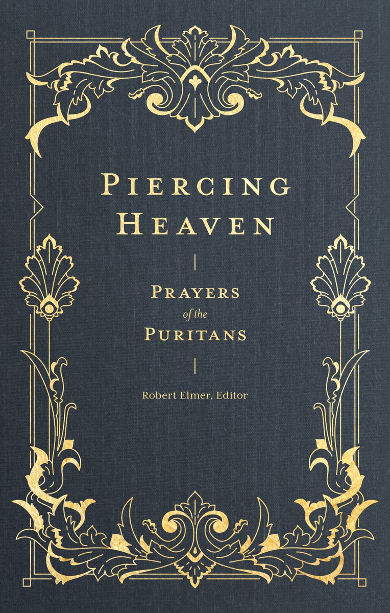 Cover image for Piercing Heaven, isbn: 9781683593348