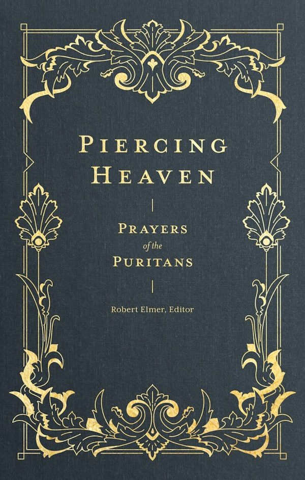 Cover image for Piercing Heaven, isbn: 9781683593348