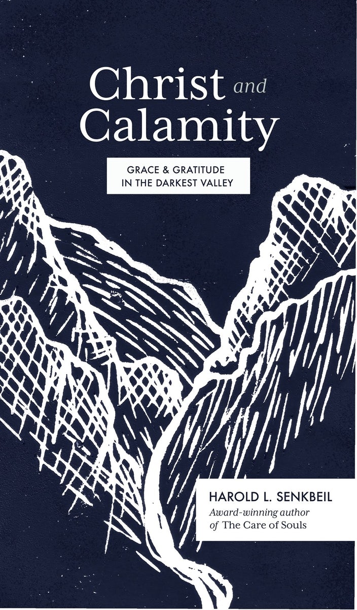 Cover image for Christ and Calamity, isbn: 9781683594437