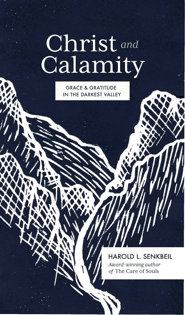 Cover image for Christ and Calamity, isbn: 9781683594437