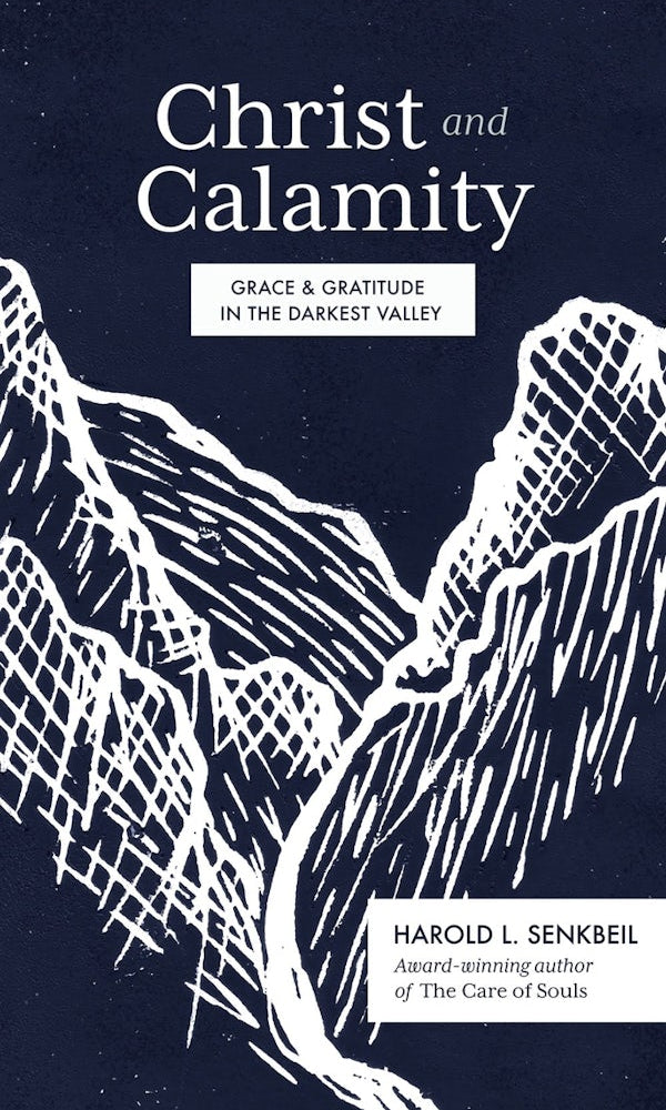 Cover image for Christ and Calamity, isbn: 9781683594451