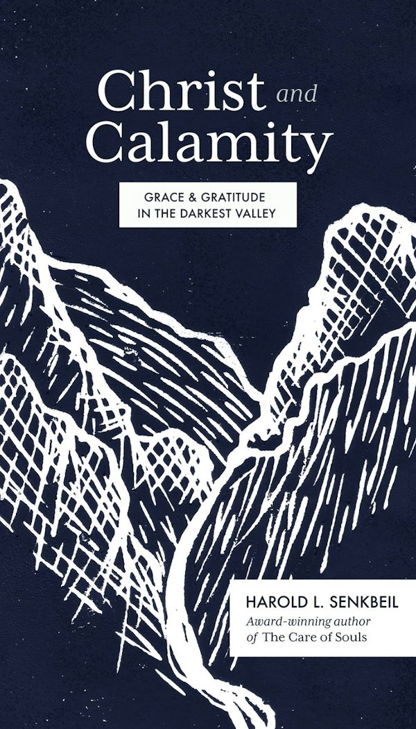 Cover image for Christ and Calamity, isbn: 9781683594451