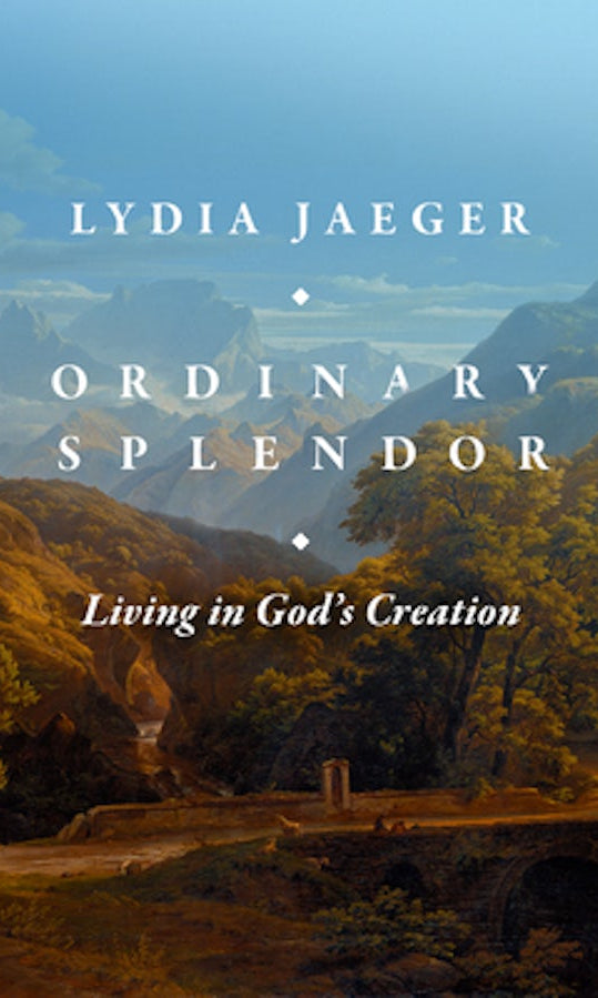 Cover image for Ordinary Splendor, isbn: 9781683596998