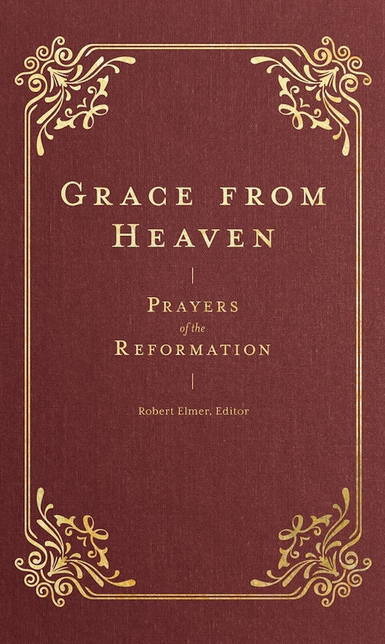 Cover image for Grace from Heaven, isbn: 9781683597407