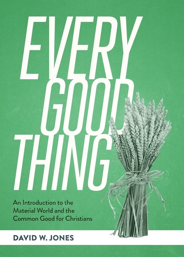 Cover image for Every Good Thing, isbn: 9781683598633