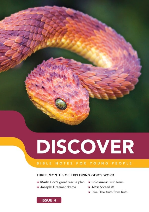 Cover image for Discover: Book 4, isbn: 9781784980566