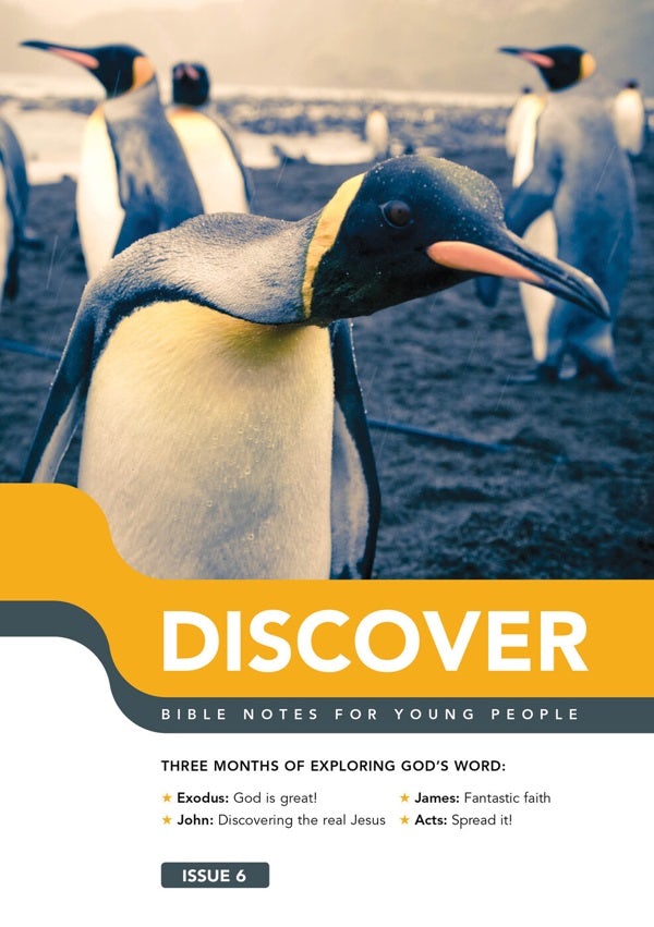 Cover image for Discover: Book 6, isbn: 9781784980580