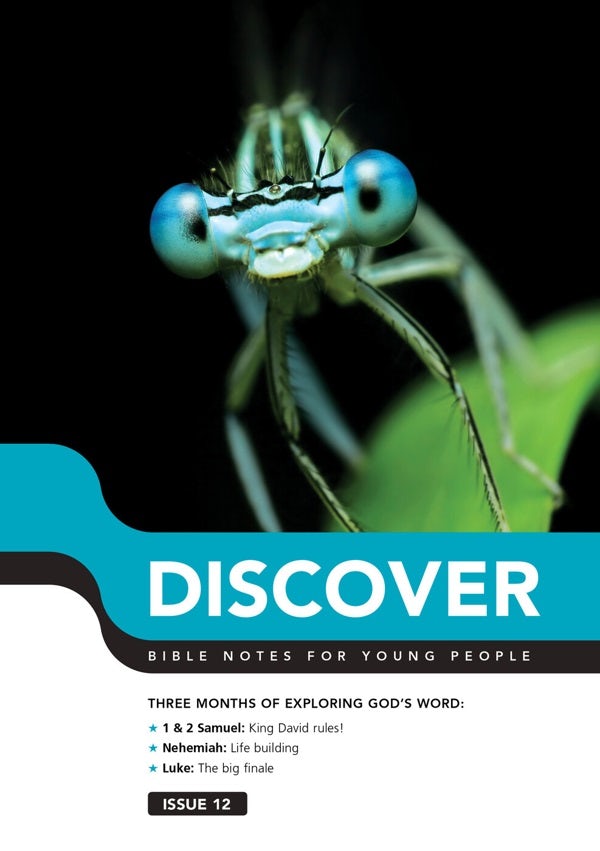 Cover image for Discover: Book 12, isbn: 9781784980641