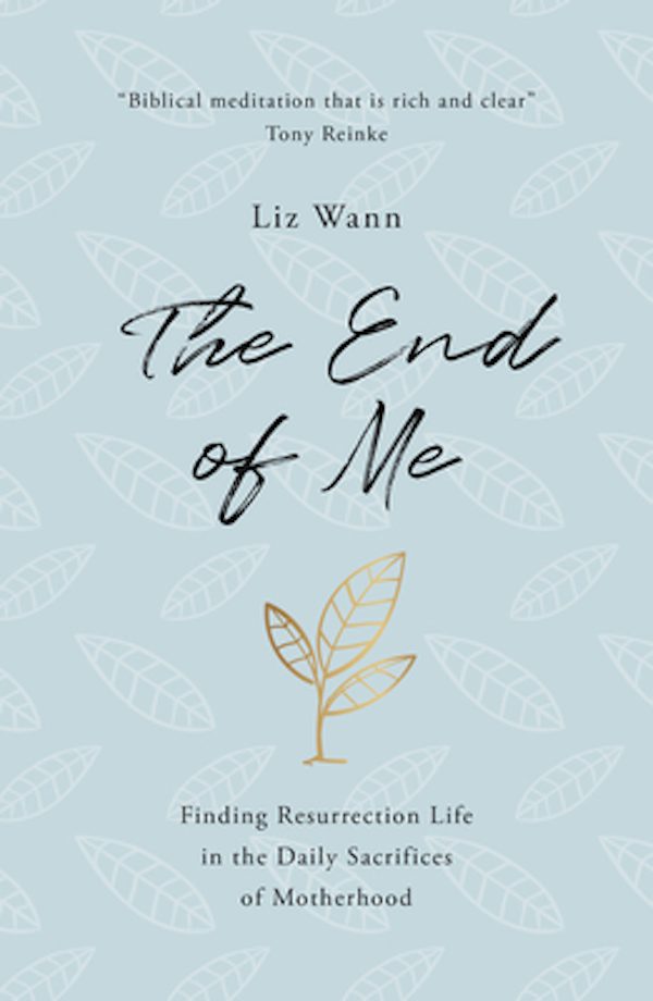 Cover image for The End of Me, isbn: 9781784985752
