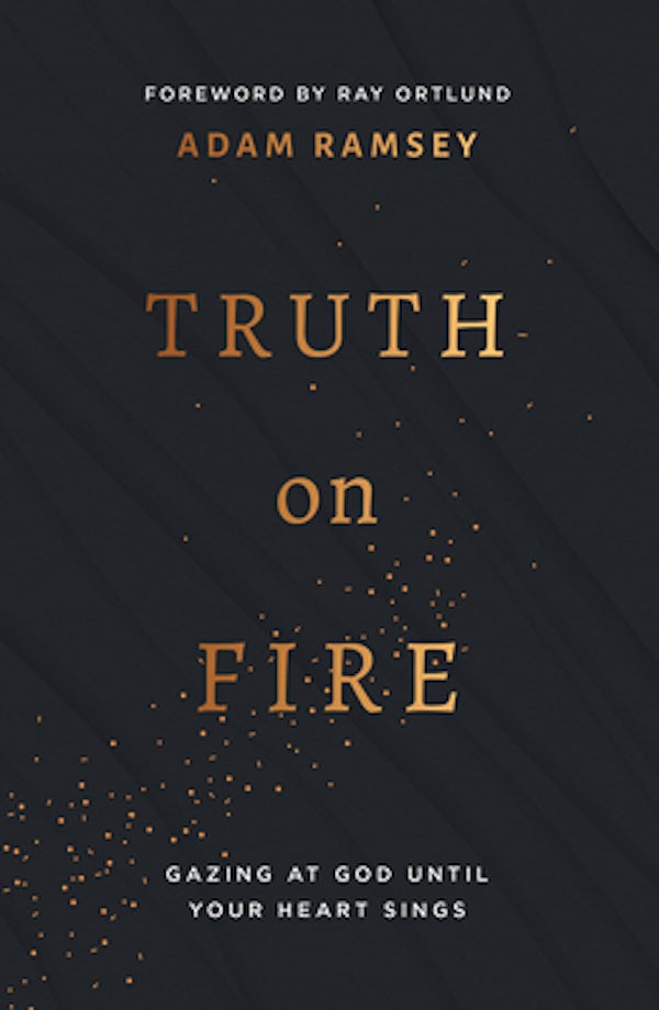 Cover image for Truth on Fire, isbn: 9781784986483