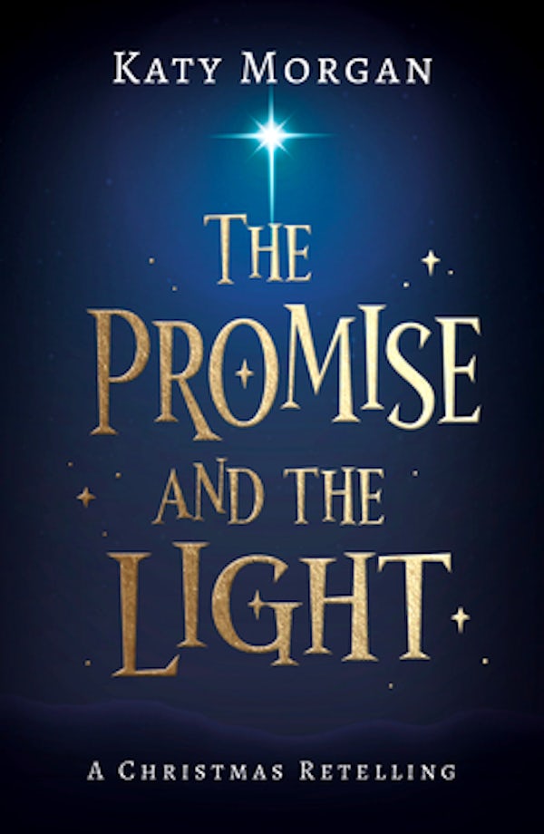 Cover image for The Promise and the Light, isbn: 9781784986612