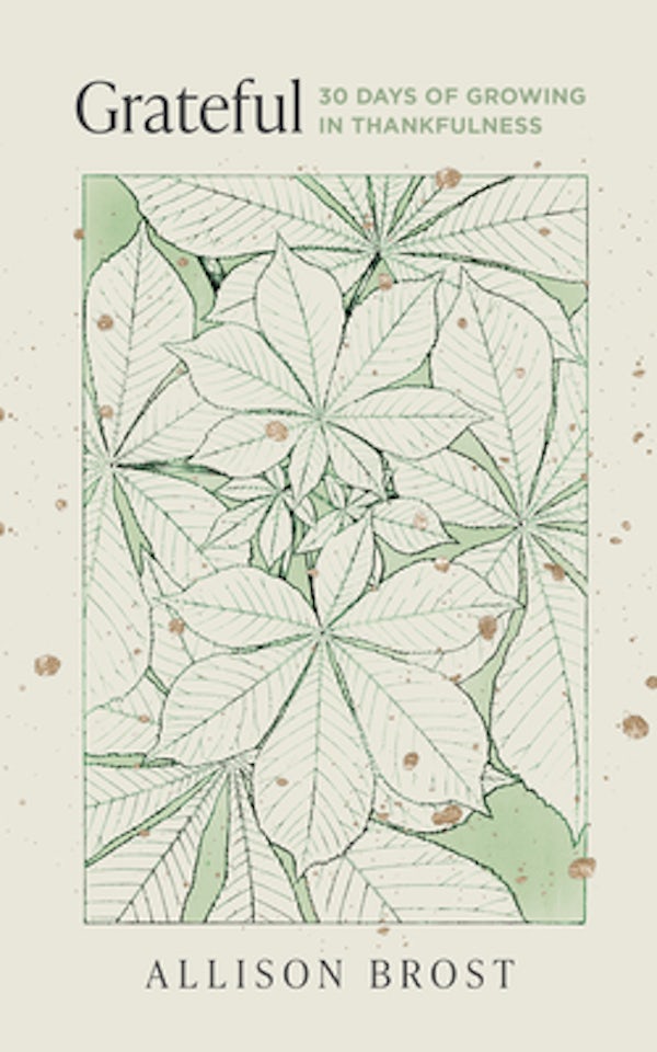 Cover image for Grateful, isbn: 9781802541311
