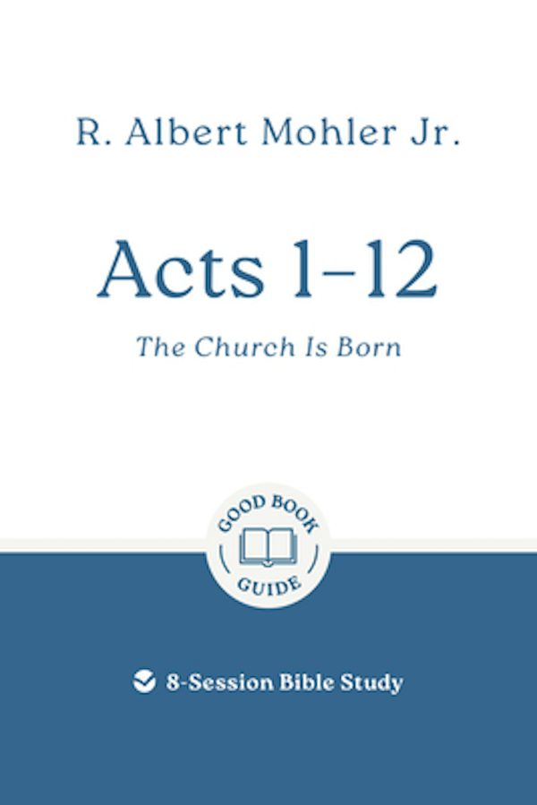 Cover image for Acts 1 - 12: The Church Is Born, isbn: 9781802541533