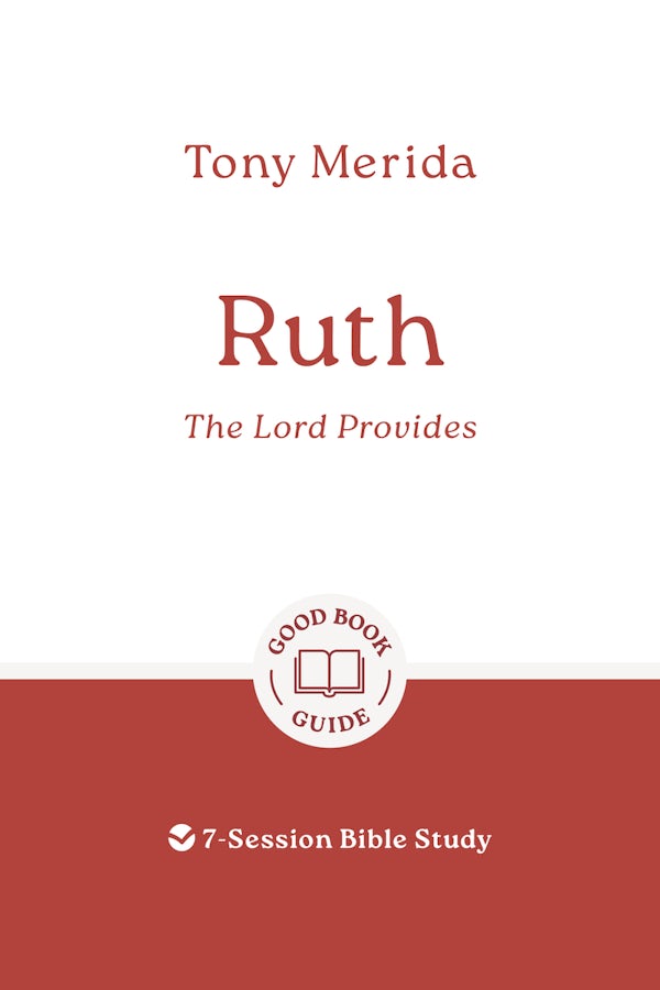 Cover image for Ruth: The Lord Provides, isbn: 9781802541557
