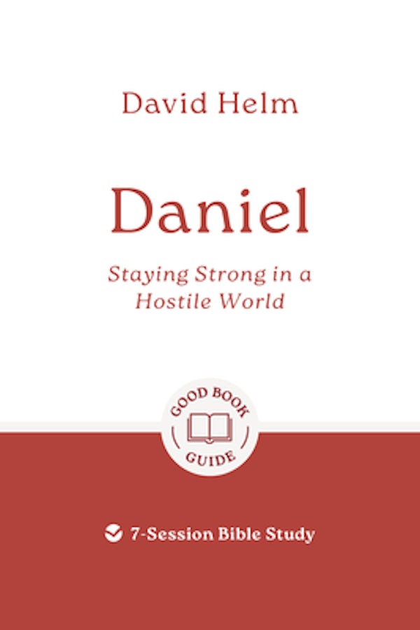 Cover image for Daniel: Staying Strong in a Hostile World, isbn: 9781802541618