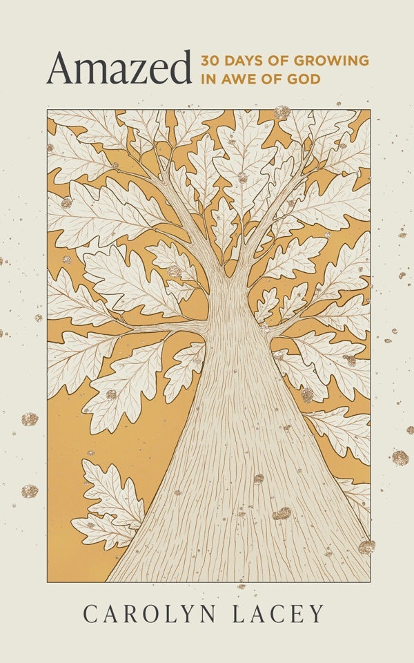 Cover image for Amazed, isbn: 9781802543490