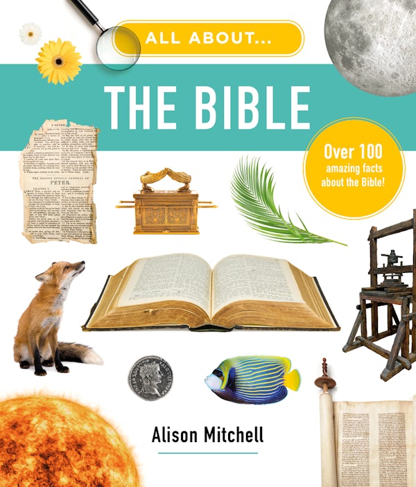 Cover image for All about the Bible, isbn: 9781802543513