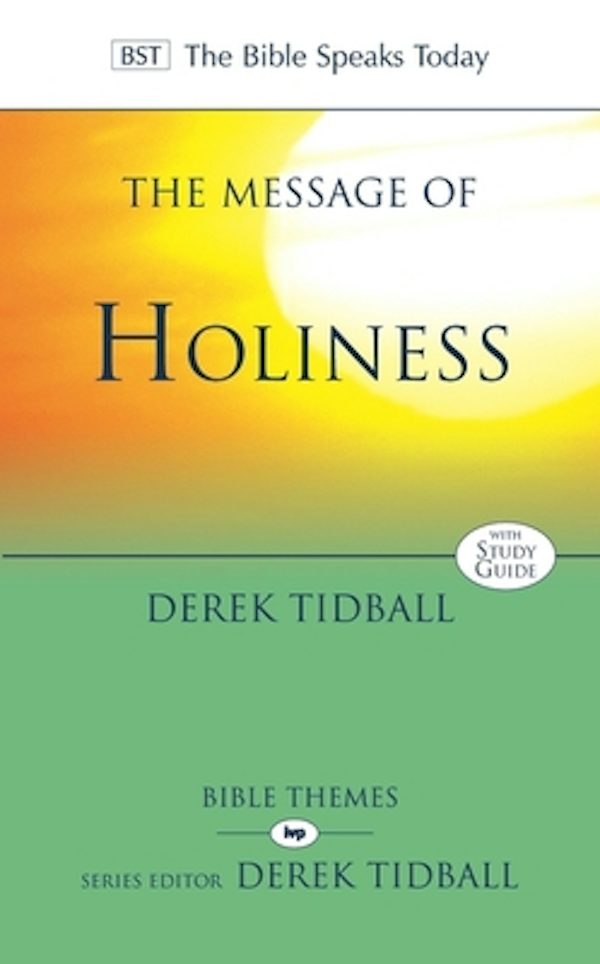 Cover image for The Message of Holiness, isbn: 9781844744114