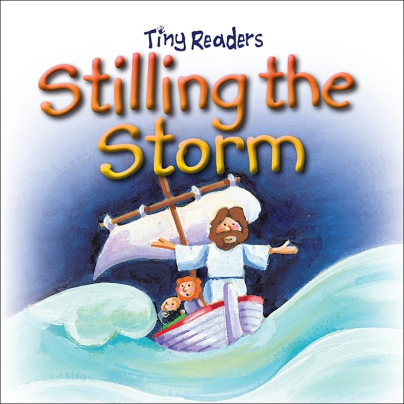 Cover image for Stilling the Storm, isbn: 9781859859179