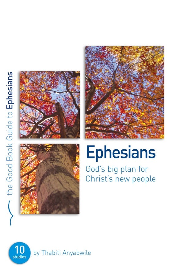 Cover image for Ephesians: God's Big Plan for Christ's New People, isbn: 9781907377099