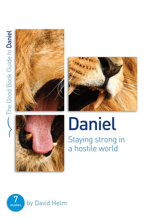Cover image for Daniel: Staying Strong in a Hostile World, isbn: 9781910307328