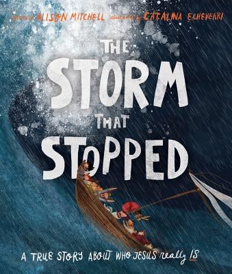 Cover image for The Storm That Stopped Storybook, isbn: 9781910307960
