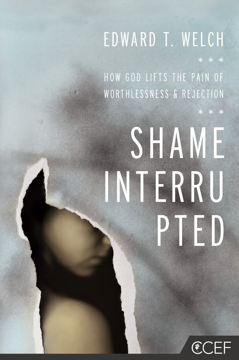 Cover image for Shame Interrupted, isbn: 9781935273981