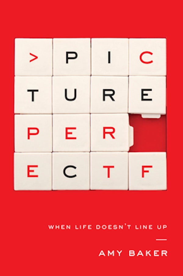 Cover image for Picture Perfect, isbn: 9781939946379