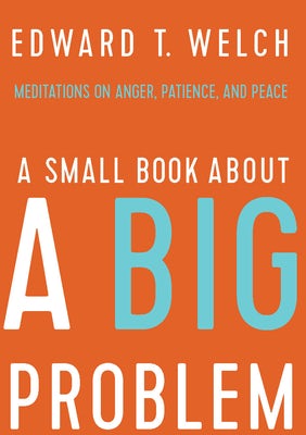 Cover image for A Small Book about a Big Problem, isbn: 9781945270130