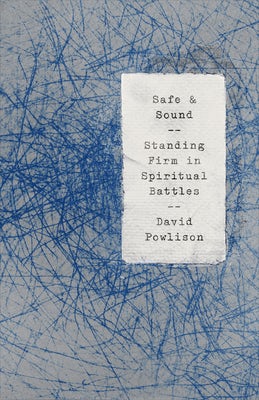 Cover image for Safe and Sound, isbn: 9781948130738