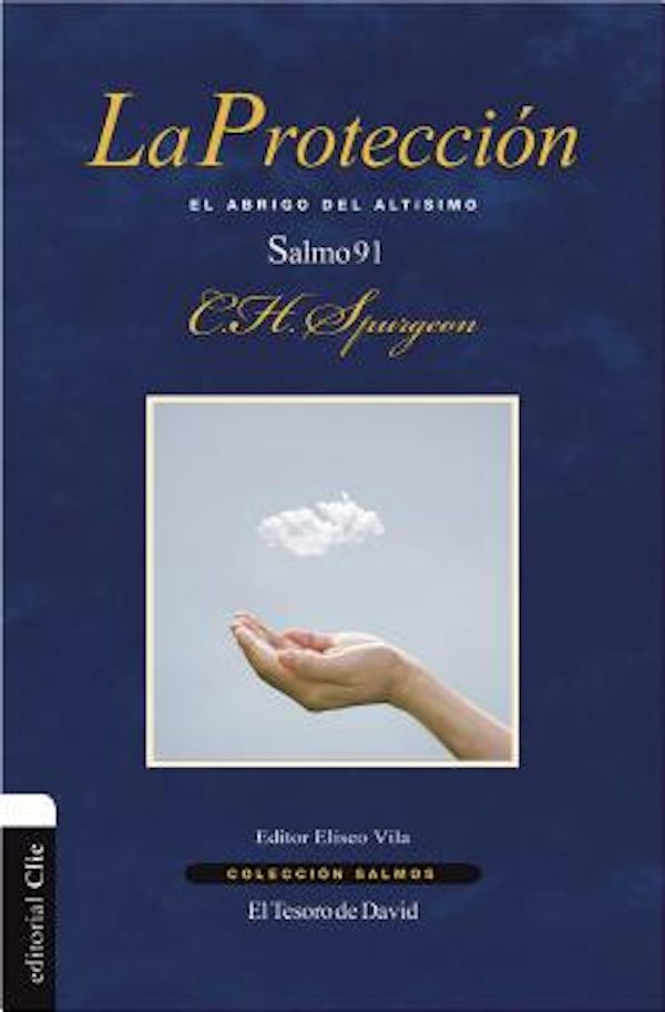 Cover image for La protecci��n, isbn: 9788416845705