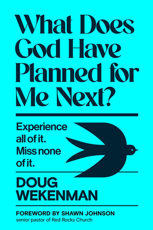 Cover image for What Does God Have Planned for Me Next?, isbn: 9798217151943