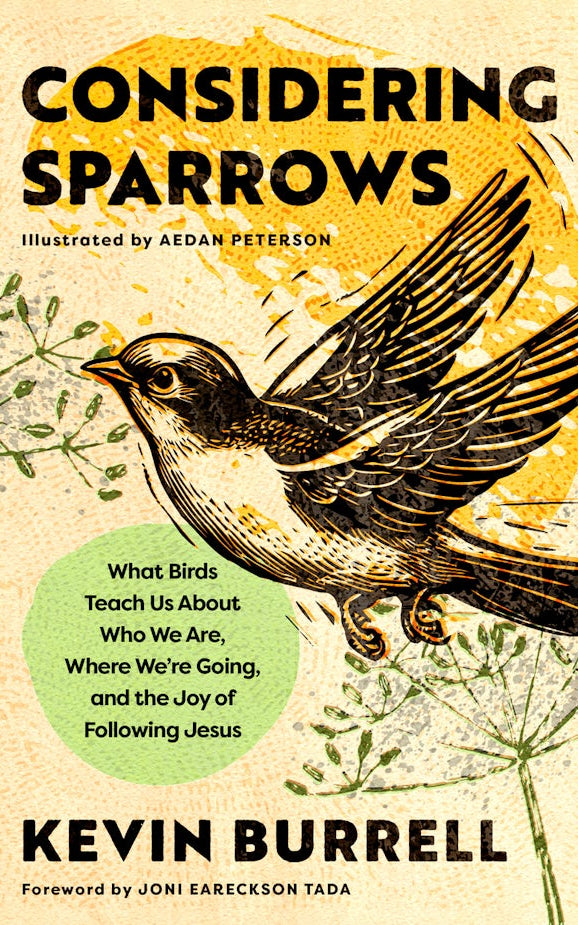 Cover image for Considering Sparrows, isbn: 9798217152261