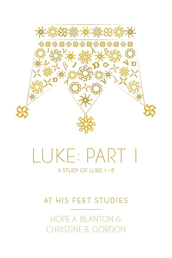 Cover image for Luke Part 1, isbn: 9798217491490