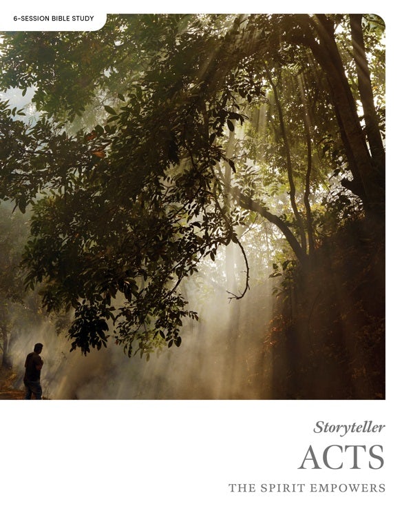 Cover image for Acts - Storyteller - Bible Study Book, isbn: 9798384500025