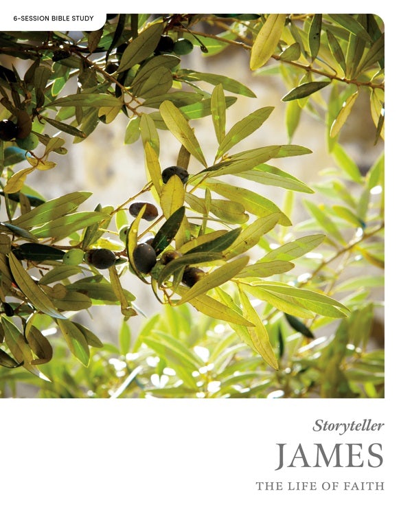Cover image for James - Storyteller - Bible Study Book, isbn: 9798384500094