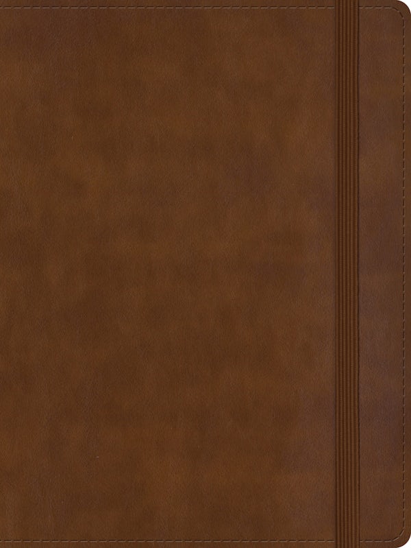 Cover image for Rvr 1960 Biblia de Apuntes Tama�o Personal, Caf� S�mil Piel, isbn: 9798384500414
