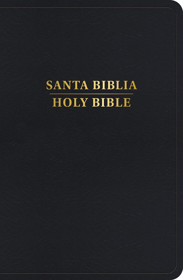 Cover image for Rvr 1960/KJV Biblia Biling�e Tama�o Personal, Negro Imitaci�n Piel Con �ndice (Edici�n 2024), isbn: 9798384500506