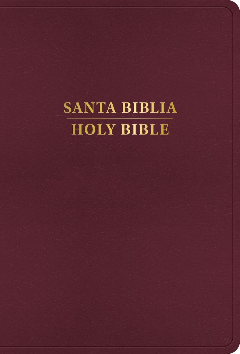 Cover image for Rvr 1960/KJV Biblia Bilingüe Letra Grande, Borgoña Imitación Piel (Edición 2024), isbn: 9798384500537
