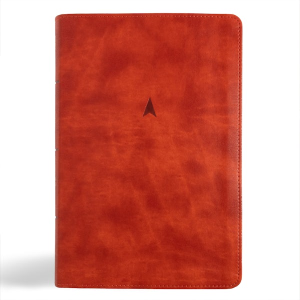 Cover image for CSB Church Bible, Anglicised Edition, British Tan Leathertouch, isbn: 9798384502203