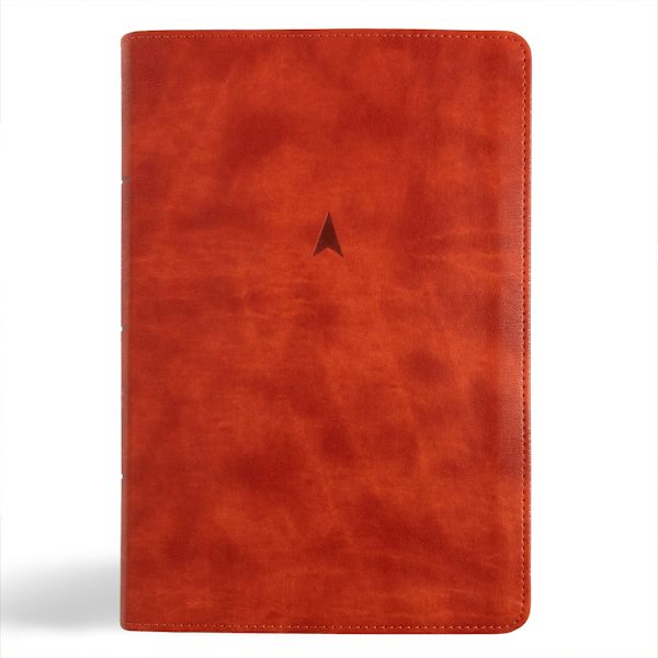 Cover image for CSB Church Bible, Anglicised Edition, British Tan Leathertouch, isbn: 9798384502203
