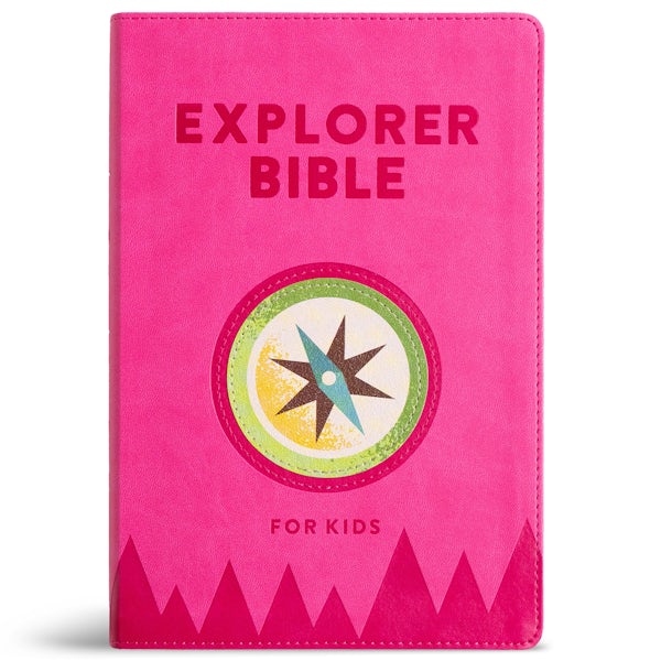 Cover image for KJV Explorer Bible for Kids, Bubble Gum Leathertouch, isbn: 9798384502272