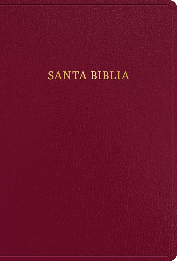 Cover image for Rvr 1960 Biblia Letra S�per Gigante, Borgo�a Imitaci�n Piel Con �ndice (Edici�n 2023), isbn: 9798384502944