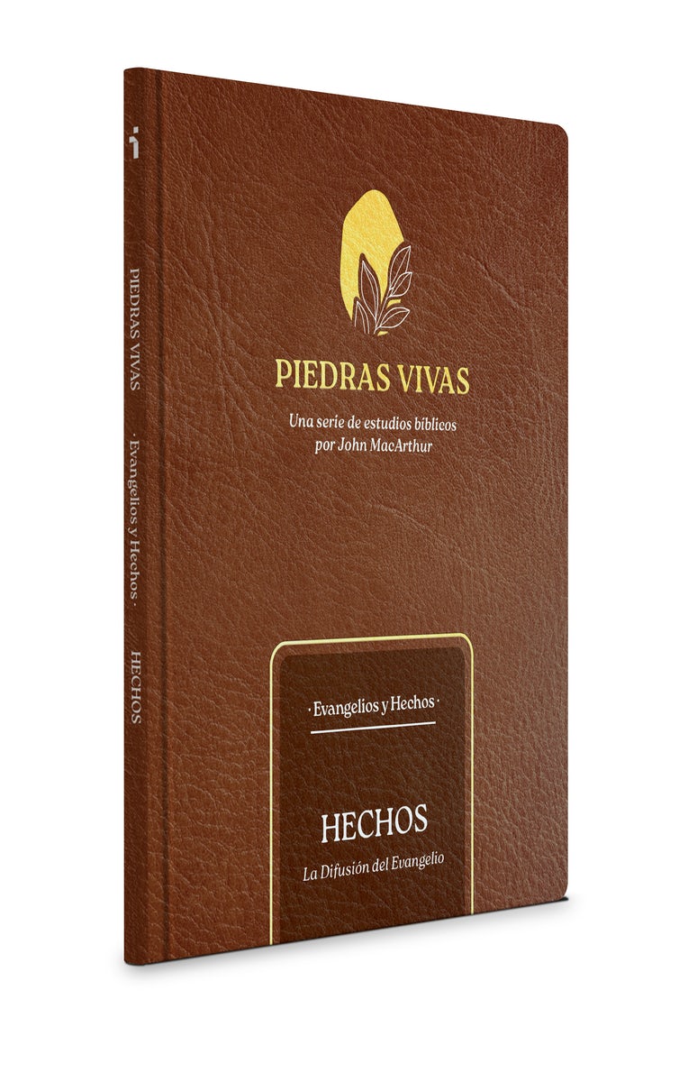 Cover image for Piedras Vivas: Hechos - Estudio Bíblico, isbn: 9798384507086