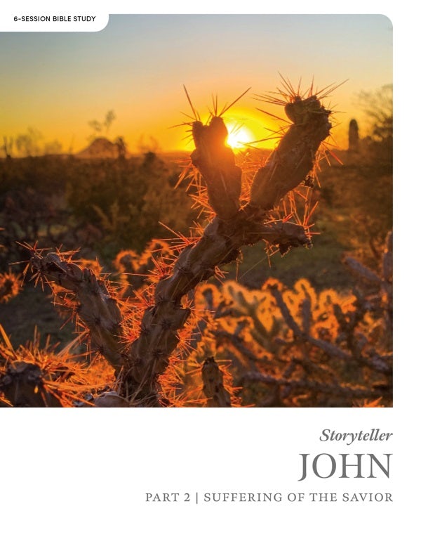 Cover image for John Part 2: Storyteller - Bible Study Book, isbn: 9798384508892
