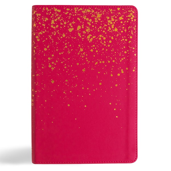 Cover image for CSB Kids Bible, Pink Leathertouch, isbn: 9798384509356