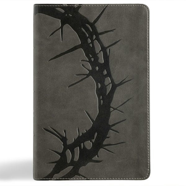 Cover image for NASB Large Print Personal Size Reference Bible, Charcoal Leathertouch, isbn: 9798384509462